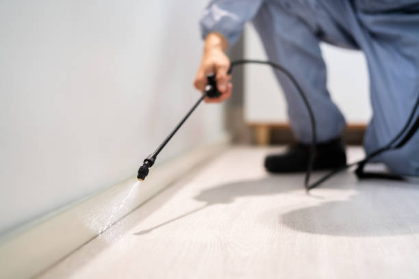 Licensed Pest Control service in Bethany, IL - Show Me Pest Control